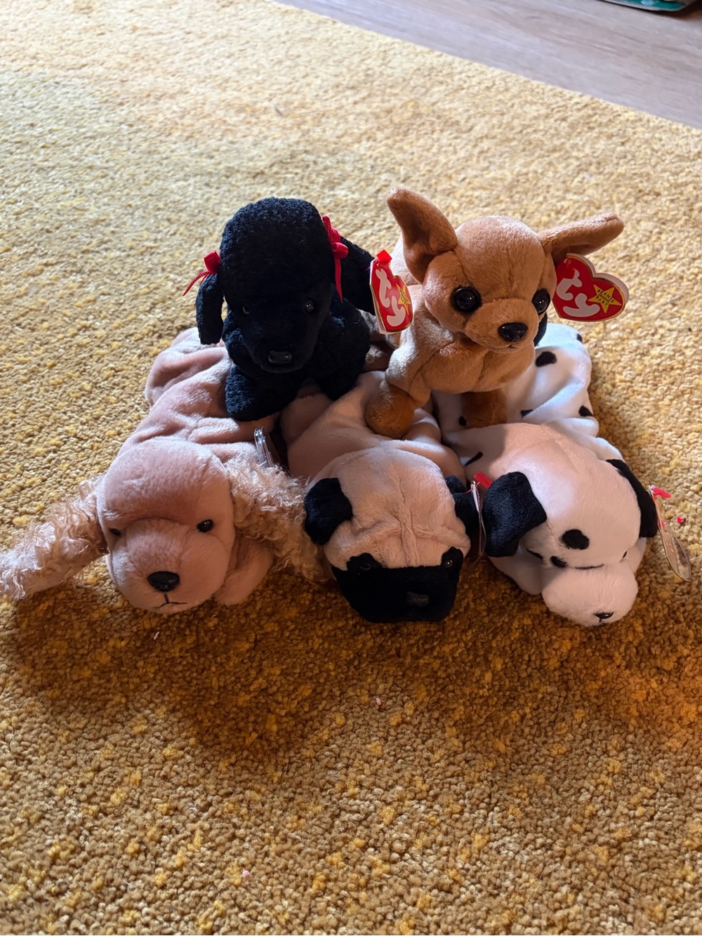 Ty Plush Puppy Dog Toy Set - Black, Brown, Tan, White